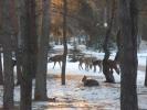 Национальный парк Орловское полесье