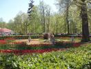 дворцово-парковый ансамбль Петергоф