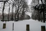 Люксембургский сад