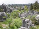 Каменный лес Шилинь