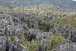 Каменный лес Шилинь