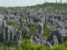 Каменный лес Шилинь
