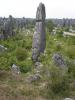 Каменный лес Шилинь
