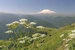 Эльбрус - самая высокая гора России