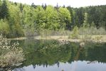 Национальный парк Сколевские бескиды