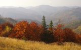 Национальный парк Сколевские бескиды