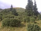 Гора Говерла