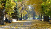 Мариинский парк