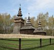 Шевченковский гай