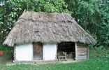 Шевченковский гай