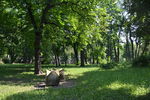 Мариинский парк
