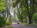 Мариинский парк