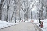 Мариинский парк