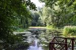 Аптекарский огород