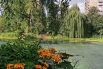 Аптекарский огород