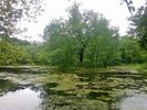 Парк Сокольники