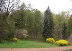 Стрыйский парк