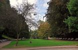 Стрыйский парк