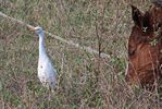 Национальный парк болото Сапата